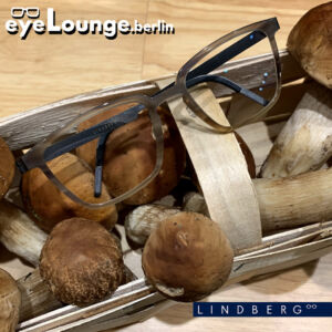 Hornbrillen von Lindberg
